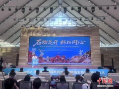 新疆:“石榴花开 籽籽同心”铸牢中华民族共同体意识网络主题活动启动